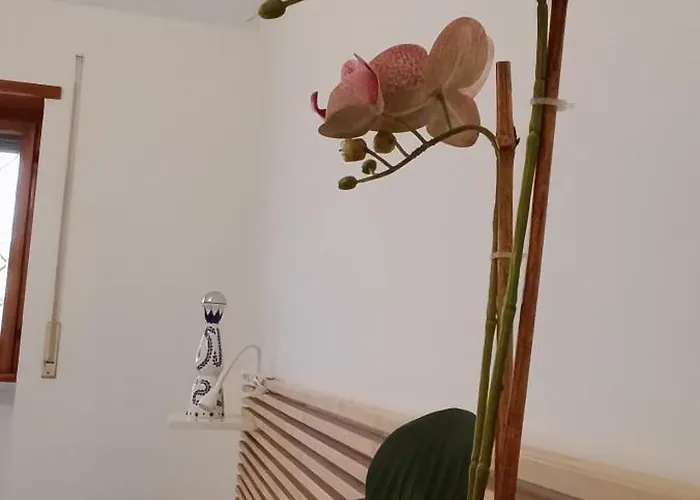 Casa Pereira דירה